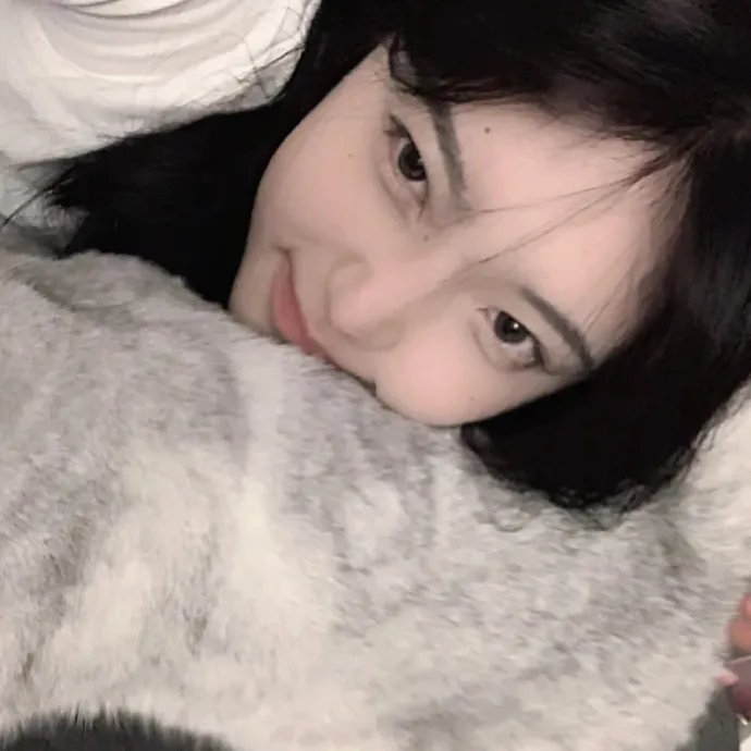百合熊风暴